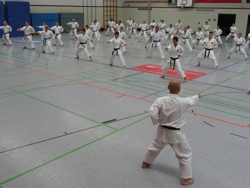 Training techniques with the Head Trainer of the German Karate League, Deutschen JKA-Bundes (in German), video of Sensei Ochi
